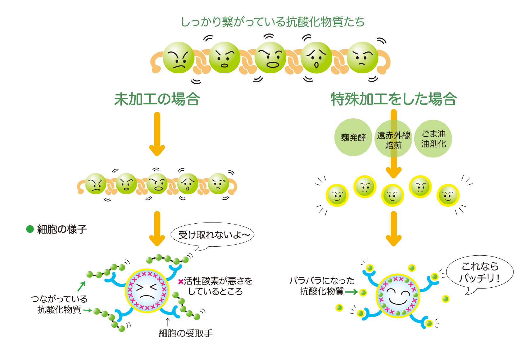 SODの加工前後のイメージ画像